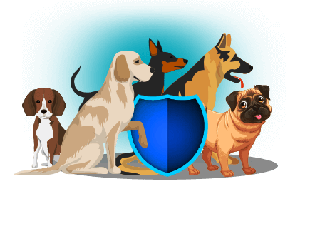 Pet dog insurance plan