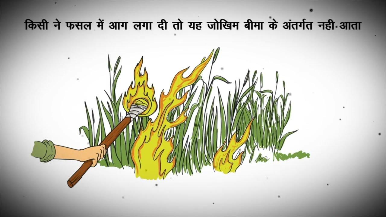 Pradhan Mantri Fasal Bima Yojana - आइए जानते है प्रधानमंत्री फसल बीमा योजना के अपवाद।