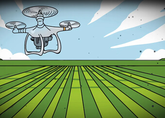 Pradhan Mantri Fasal Bima Yojana - फसल में नुकसान होने पर ध्यान देने योग्य बातें