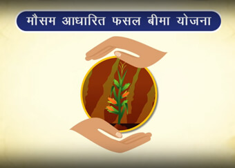 What is the purpose of weather-based insurance plan?